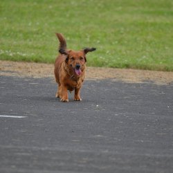 2013 Suche 29062013 Michal